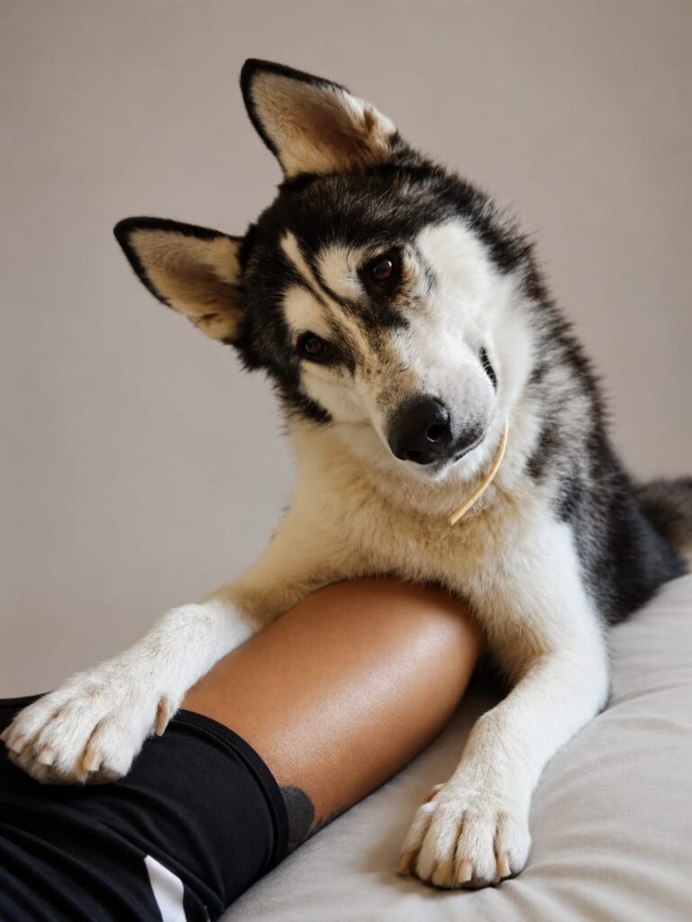 Kai, Macho · 1 año
