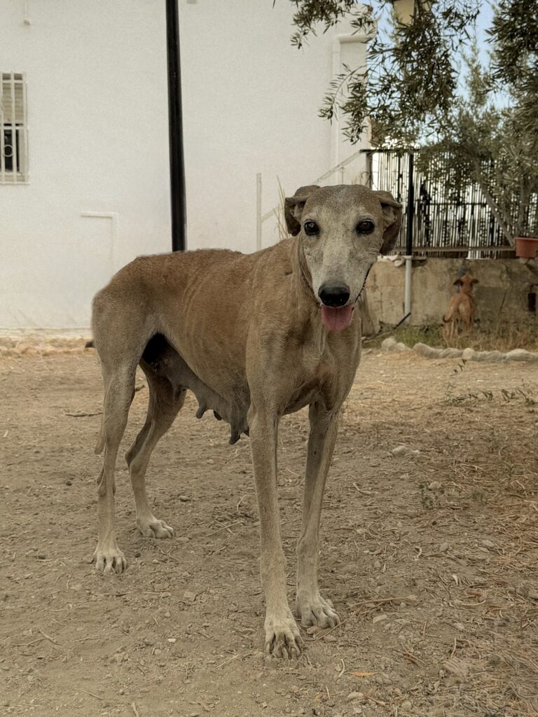 Magia, 12 años